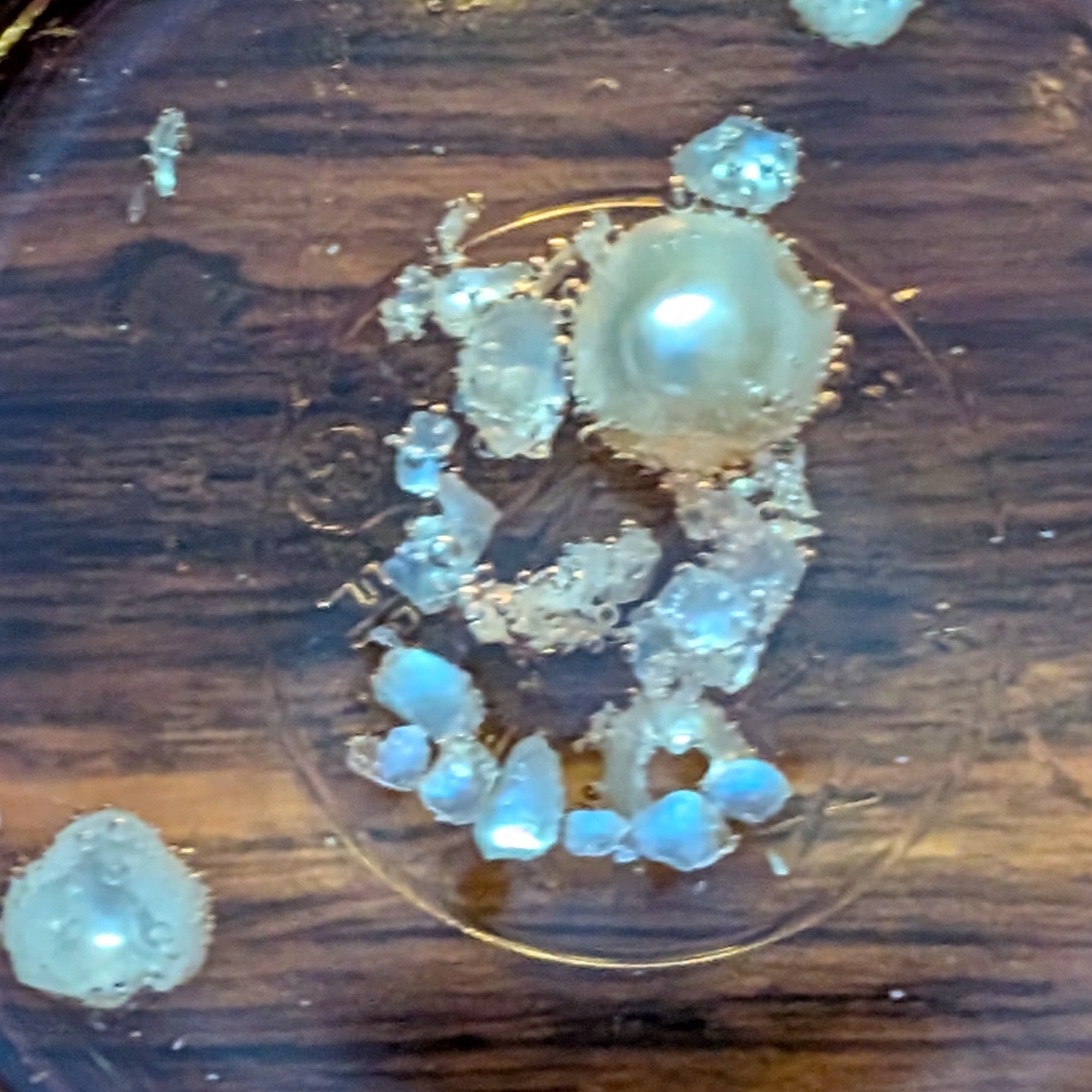 Testing a cultivated freshwater pearl to destruction